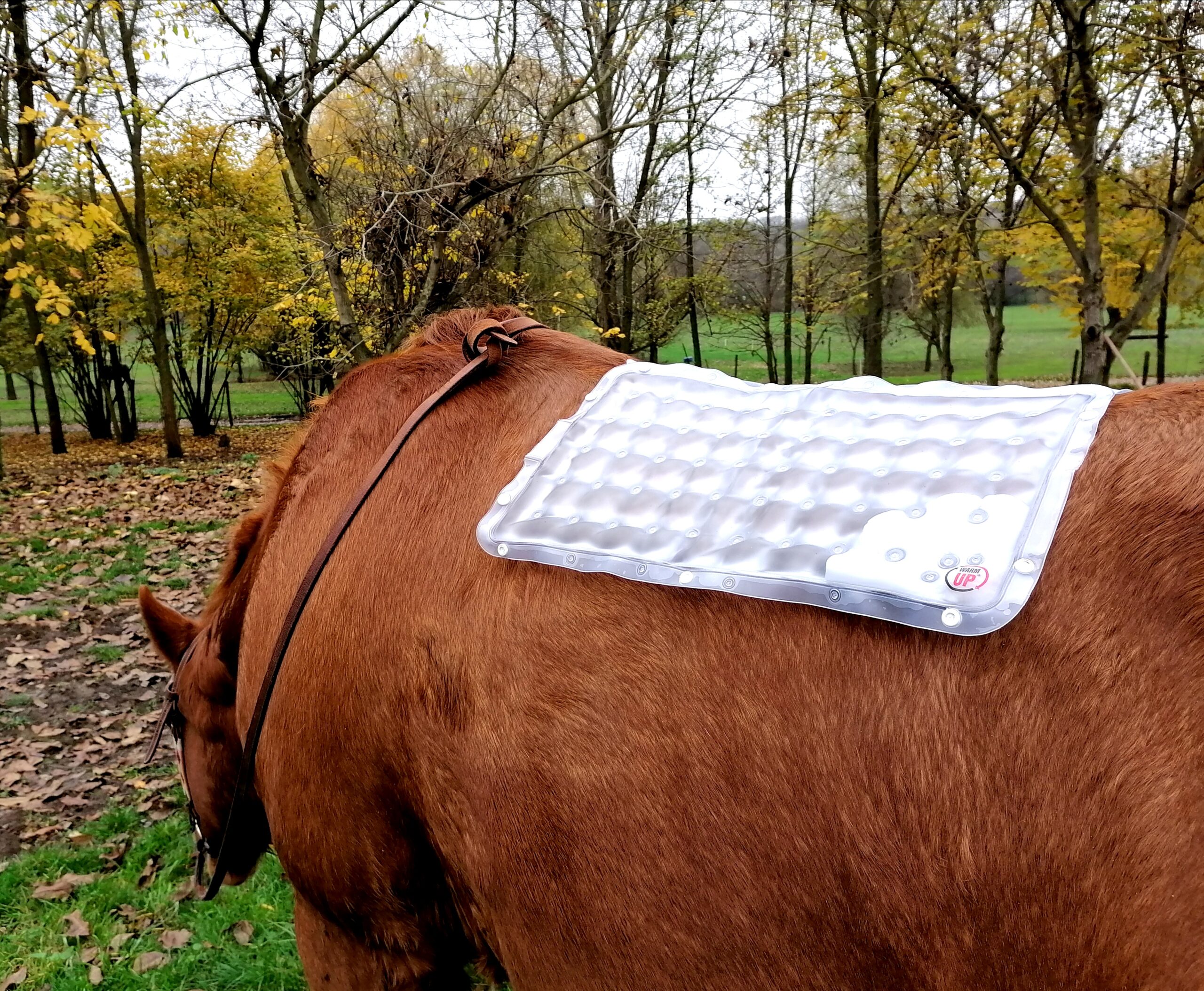 Warm Up® Újrahasználható Melegítő tasak - lovak testének melegítésére