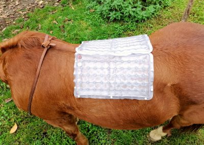 Warm Up® Újrahasználható Melegítő tasak - lovak testének melegítésére